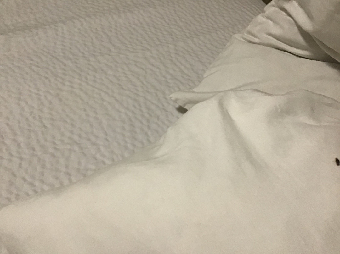 Extended Stay America - Richmond - Innsbrook主图