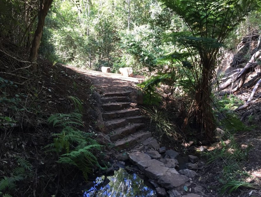 Highfields Falls-Highfields必去景点