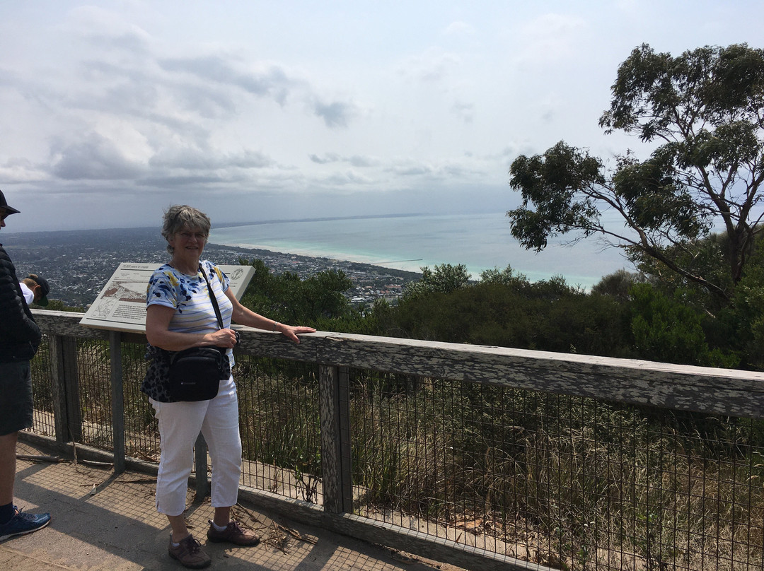 Arthurs Seat State Park景点图片
