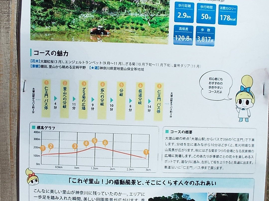 Hanasaku Satoyama Walk-南足柄市必去景点
