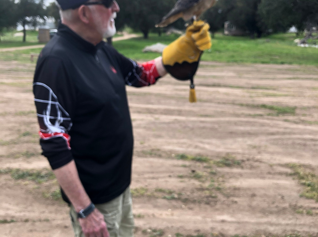 Sky Falconry-Alpine必去景点