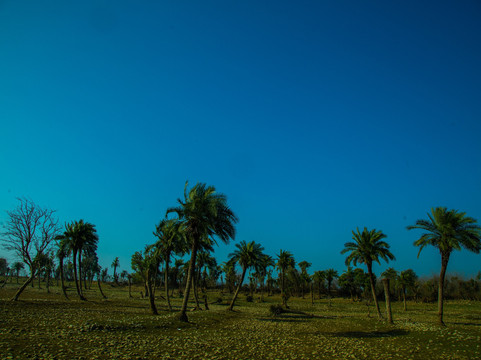 Boating Point - Ranjit Sagar Lake-达尔胡西必去景点