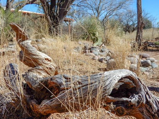 Buenos Aires National Wildlife Refuge-Arivaca必去景点