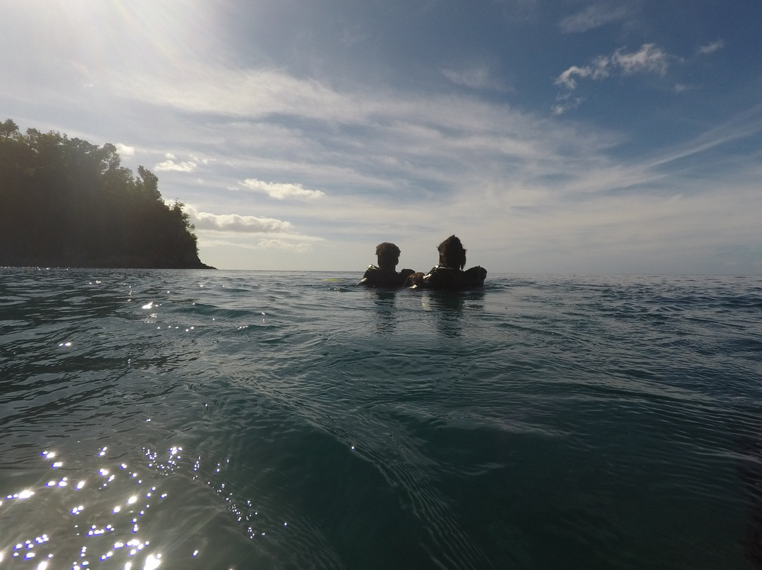 SALT-Toucari必去景点