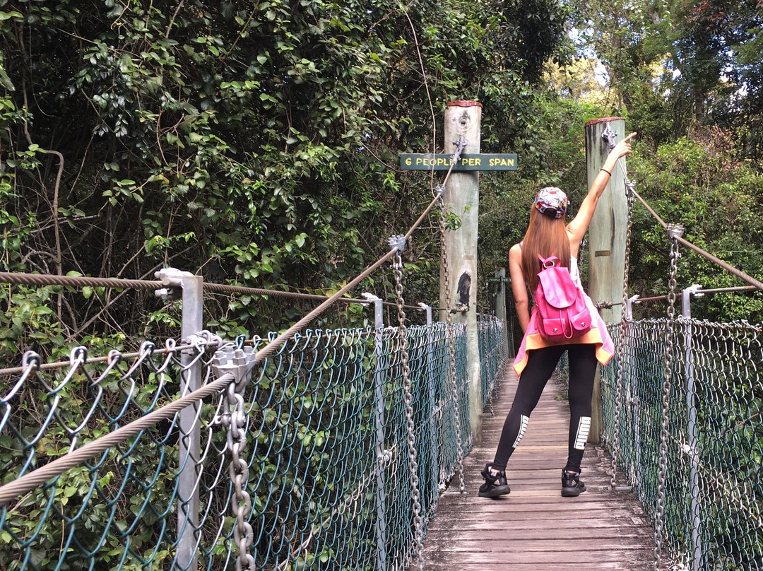 Lamington National Park景点图片