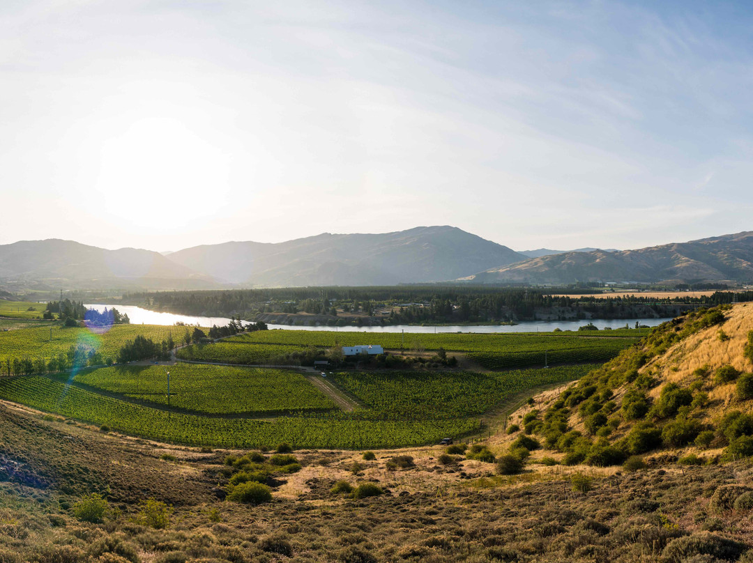 海斯湖旅游景点-Bald Hills Pop Up Cellar Door