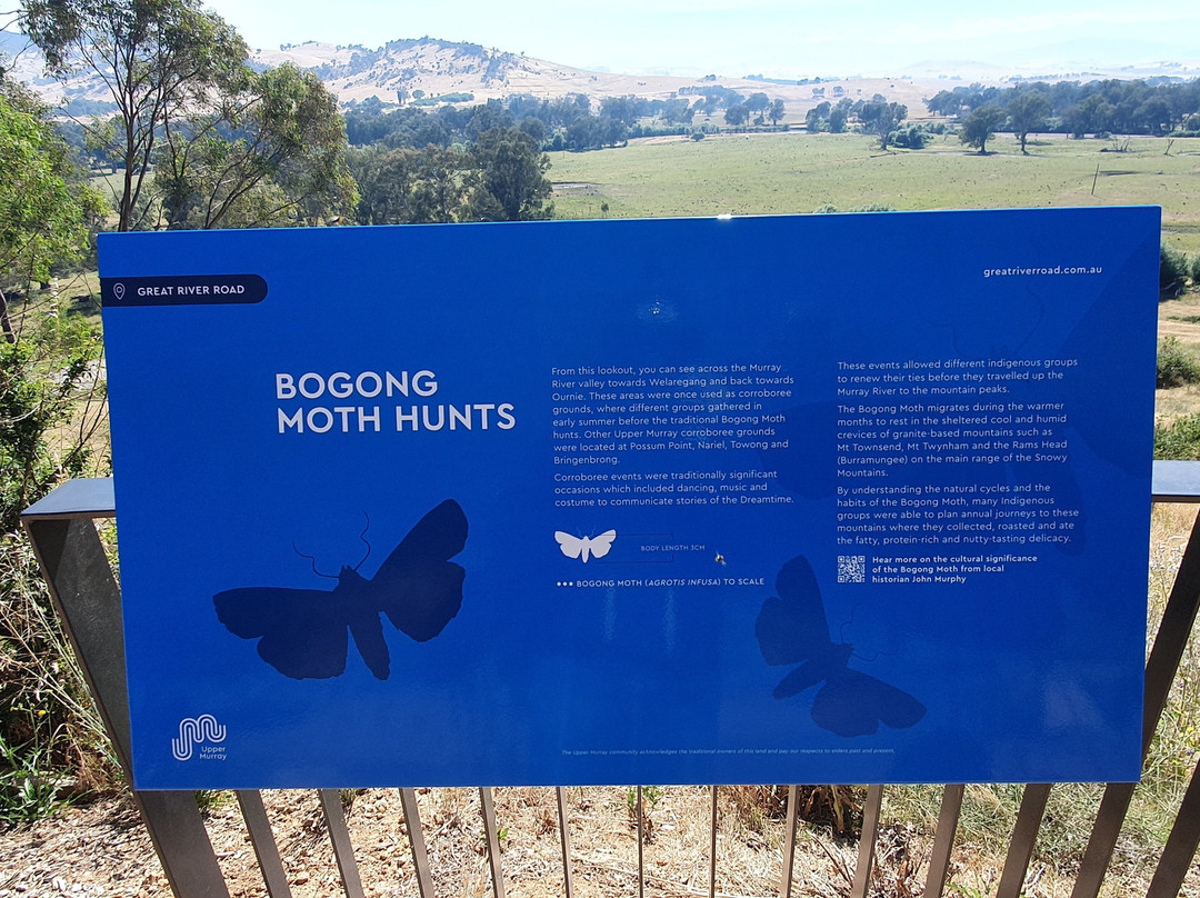 Jim Newman's Lookout-Tintaldra必去景点