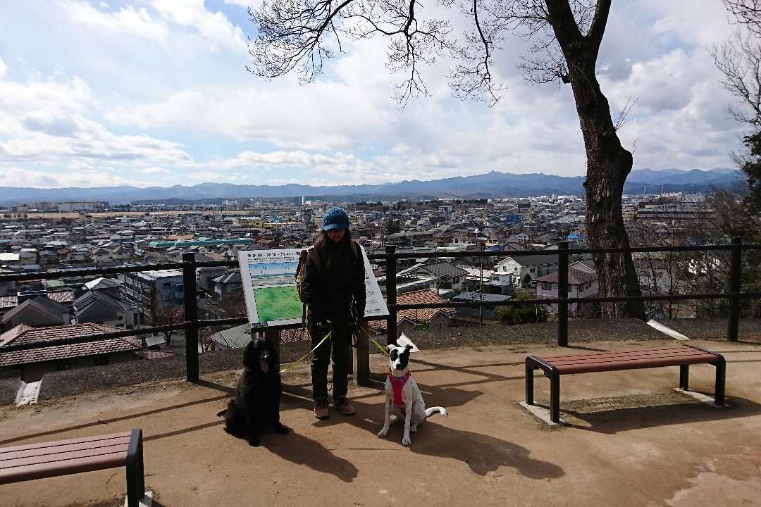 Noyamakita Rokudoyama Park景点图片