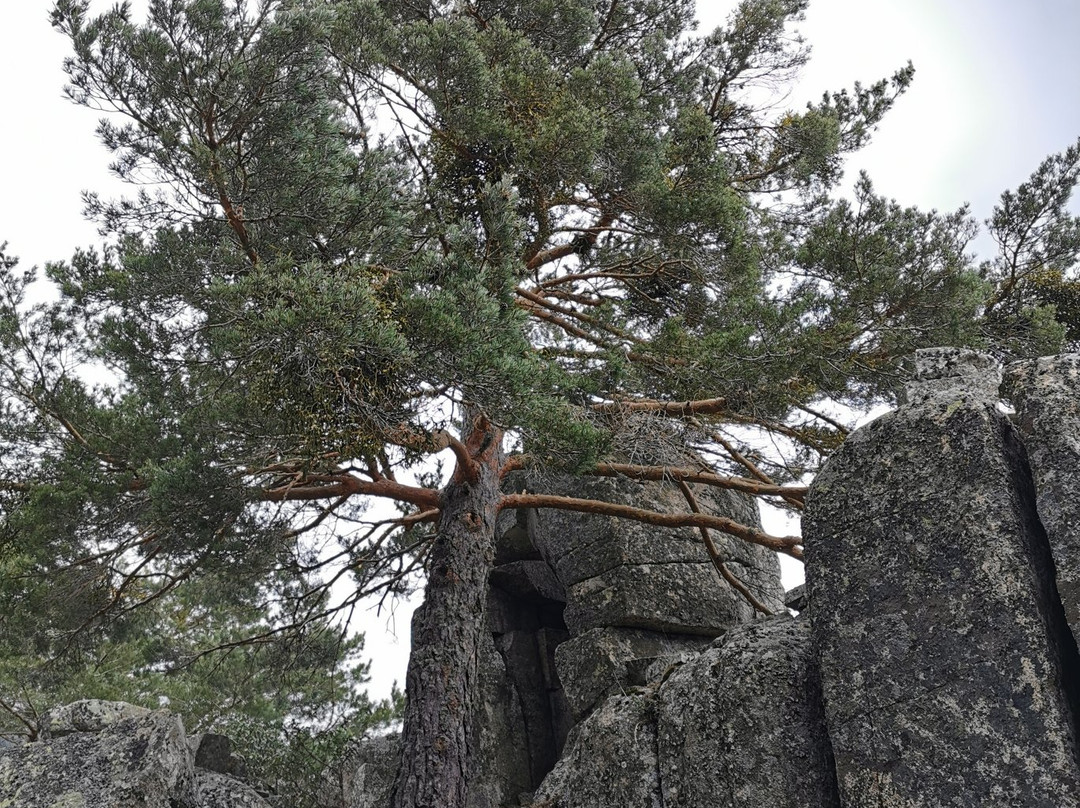 Embalse de la Jarosa-Guadarrama必去景点
