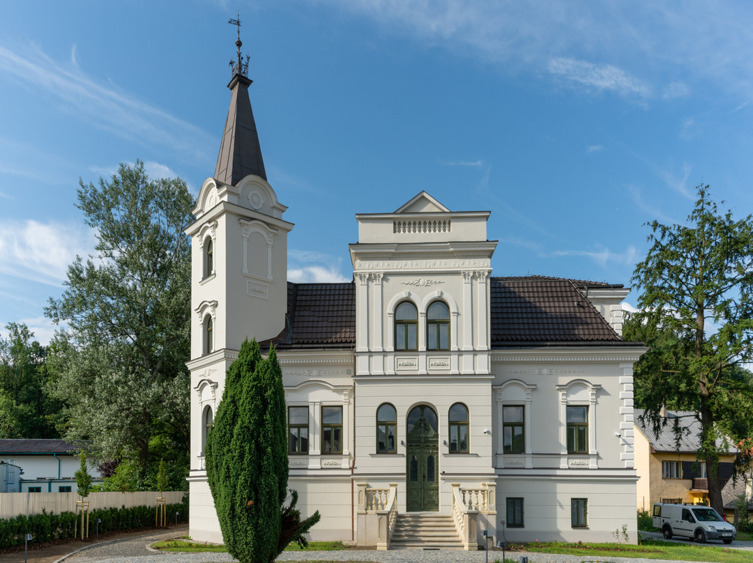 Roznov pod Radhostem酒店住宿-Villa Rosenaw