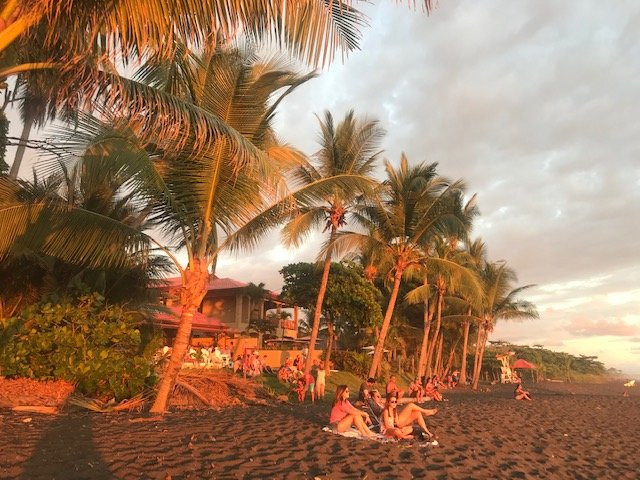 Surf Inn Hermosa主图