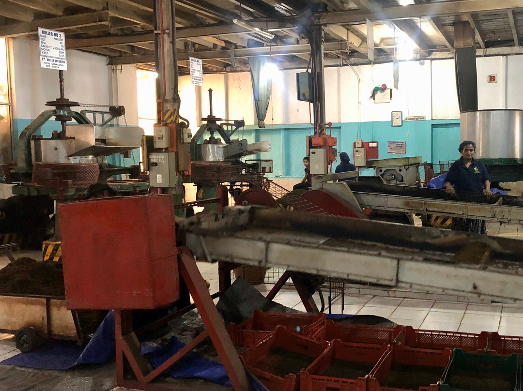 Kurugama Tea Factory景点图片