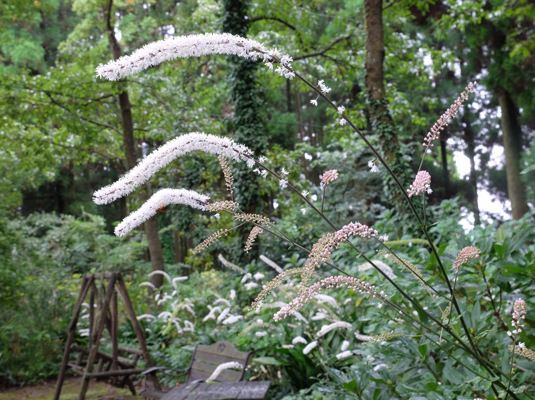 Naturel Garden Minamiaso-南阿苏村必去景点