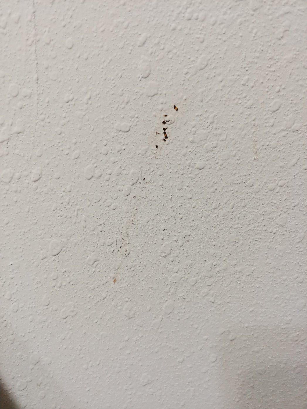 黑泽尔赫斯特美洲最佳价值酒店-官方