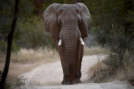 Sanctuary Sanctorum Travel-尼斯普鲁特必去景点