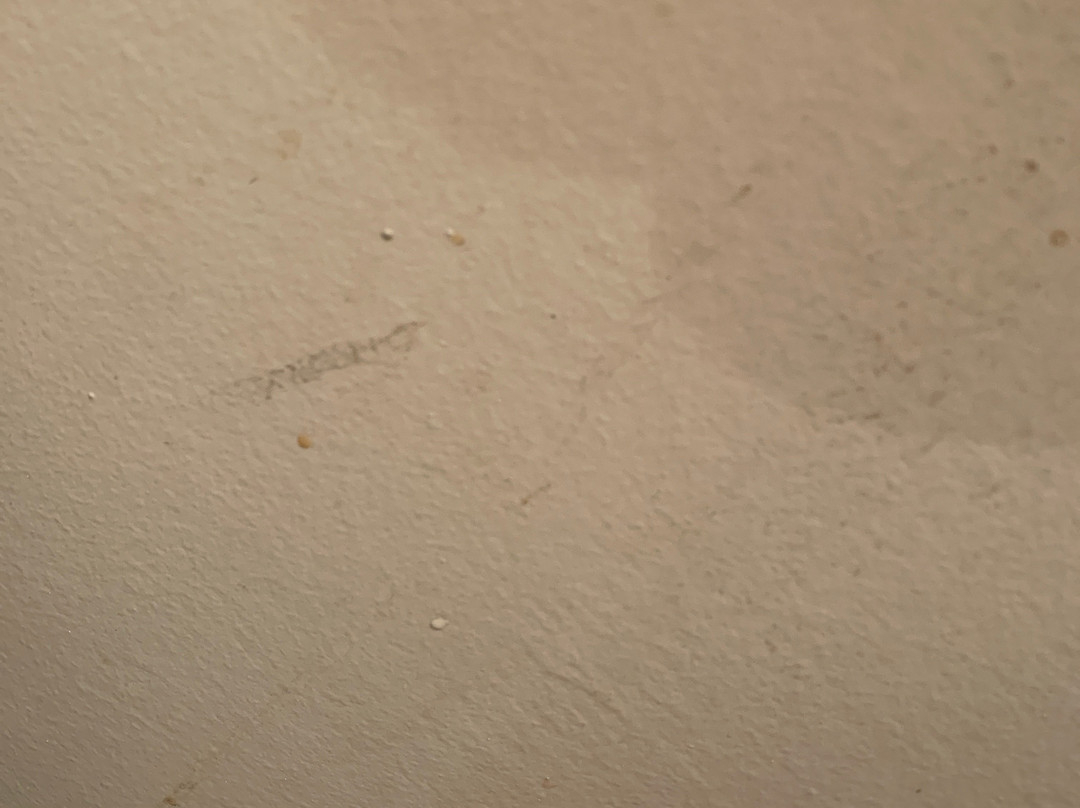 Richard's Hotel主图