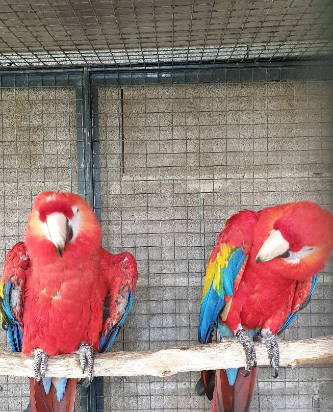 Hostellerie-Restaurant Les Gorges De L'Aveyron主图