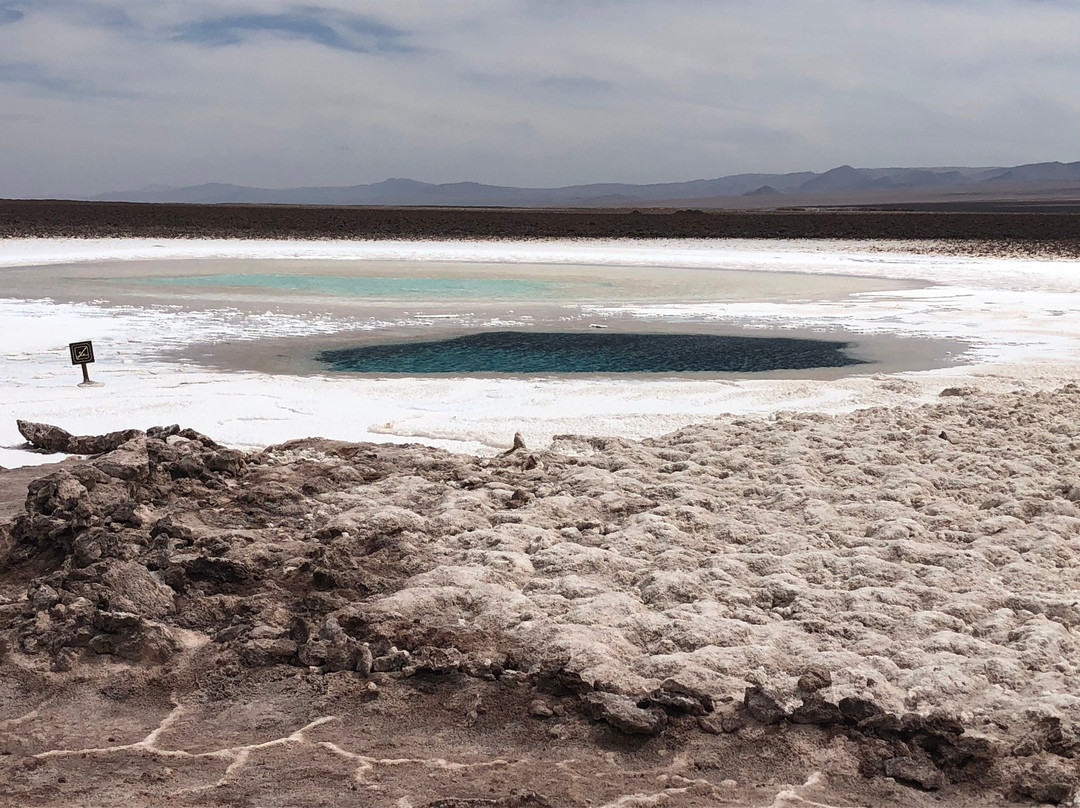 Lagunas Baltinache景点图片