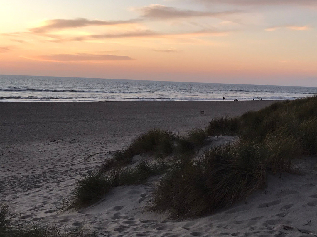 Oxnard State Beach and Park-奥克斯纳德必去景点