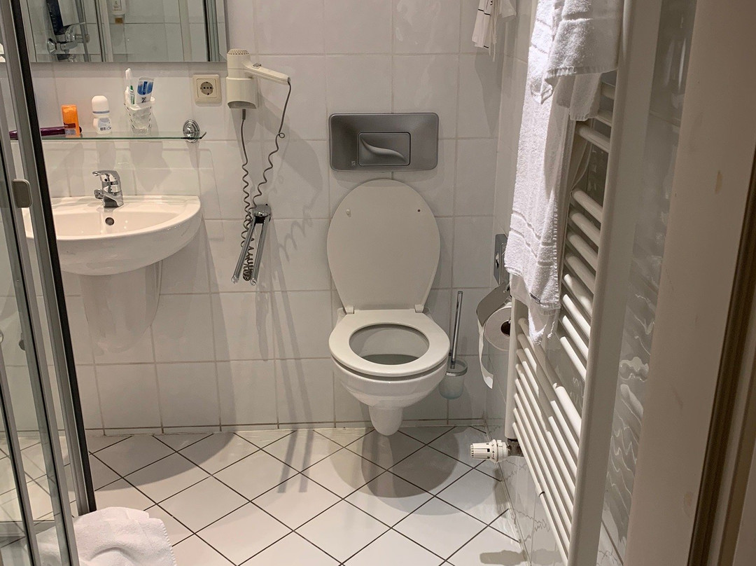 Hotel Adler主图