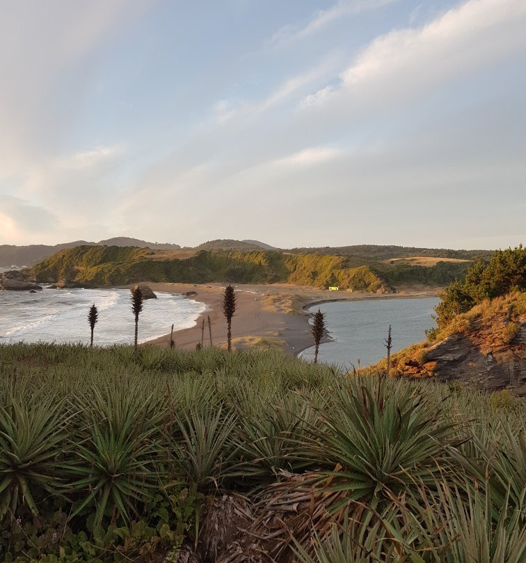 Parque Pedro del Rio Zanartu景点图片