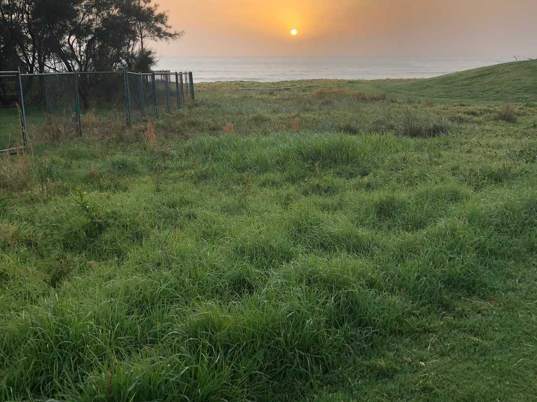 Wollongong To Thirroul Bike Track-卧龙岗市必去景点