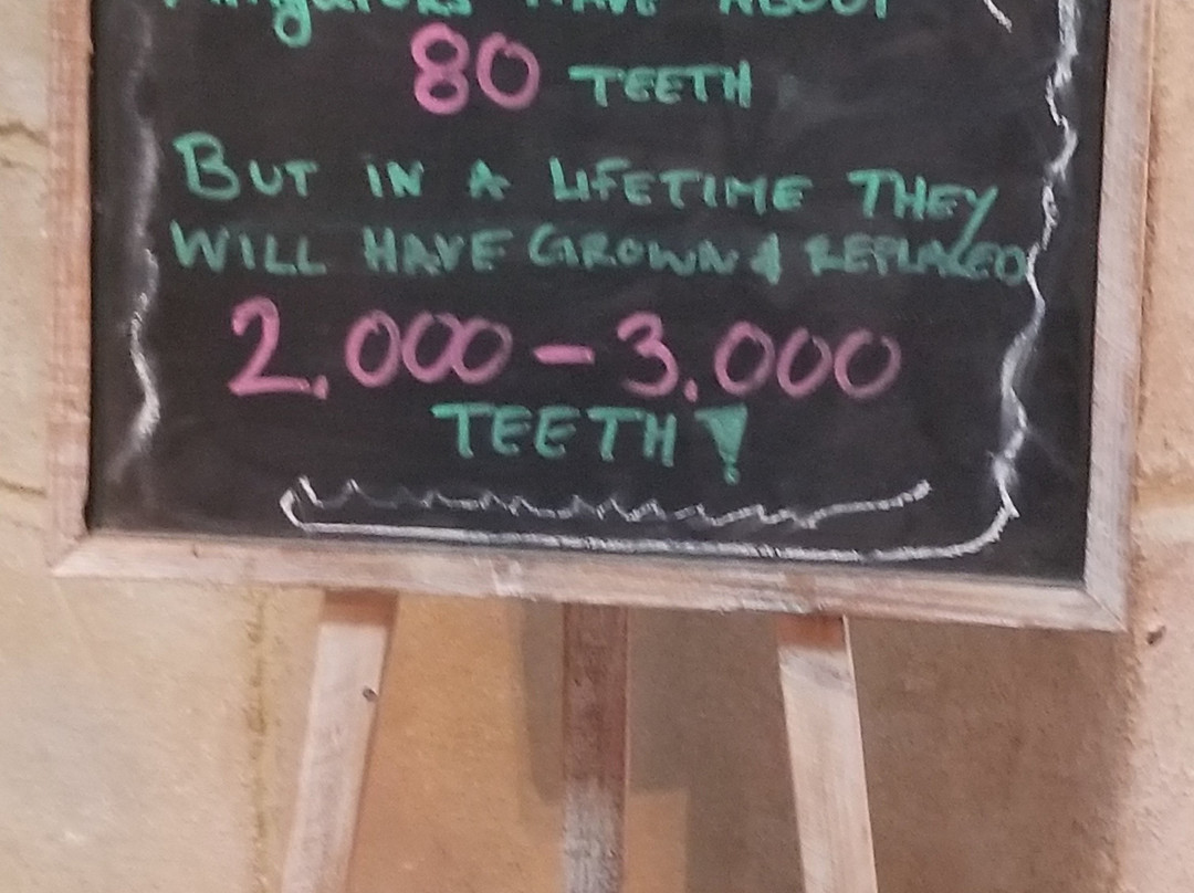 Star Eco Station-卡尔弗城必去景点