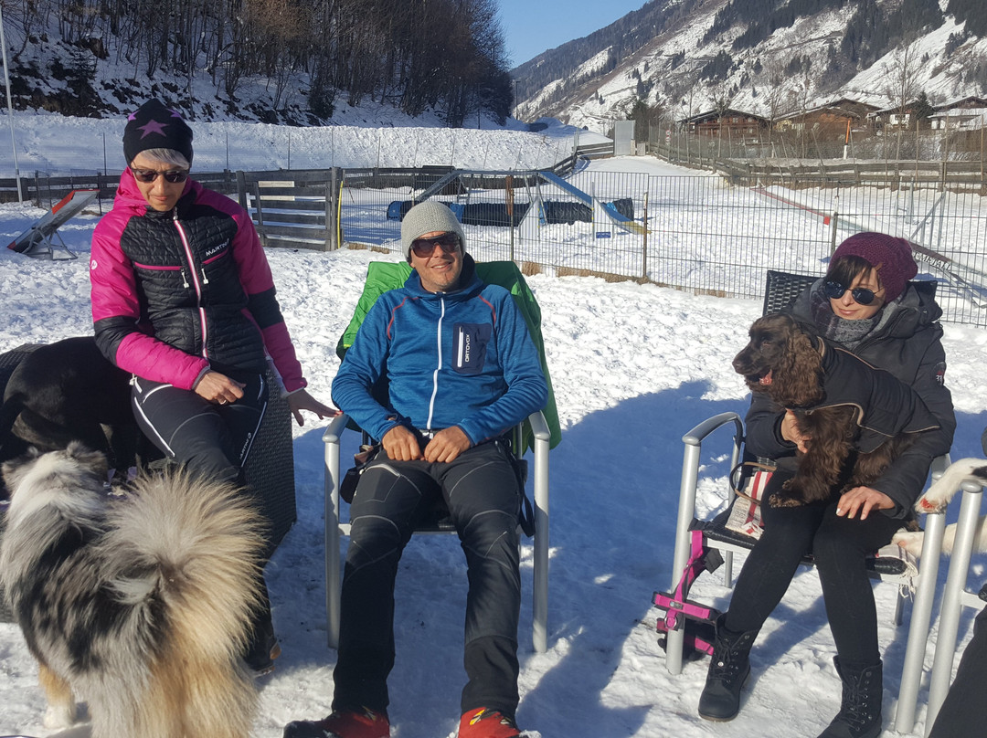 Hotel Grimming dogs&friends主图