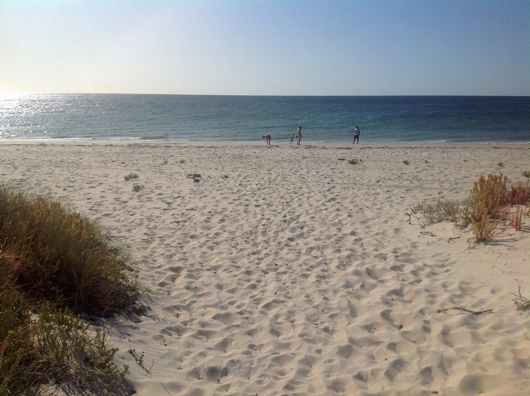 Forrest Beach-Capel必去景点
