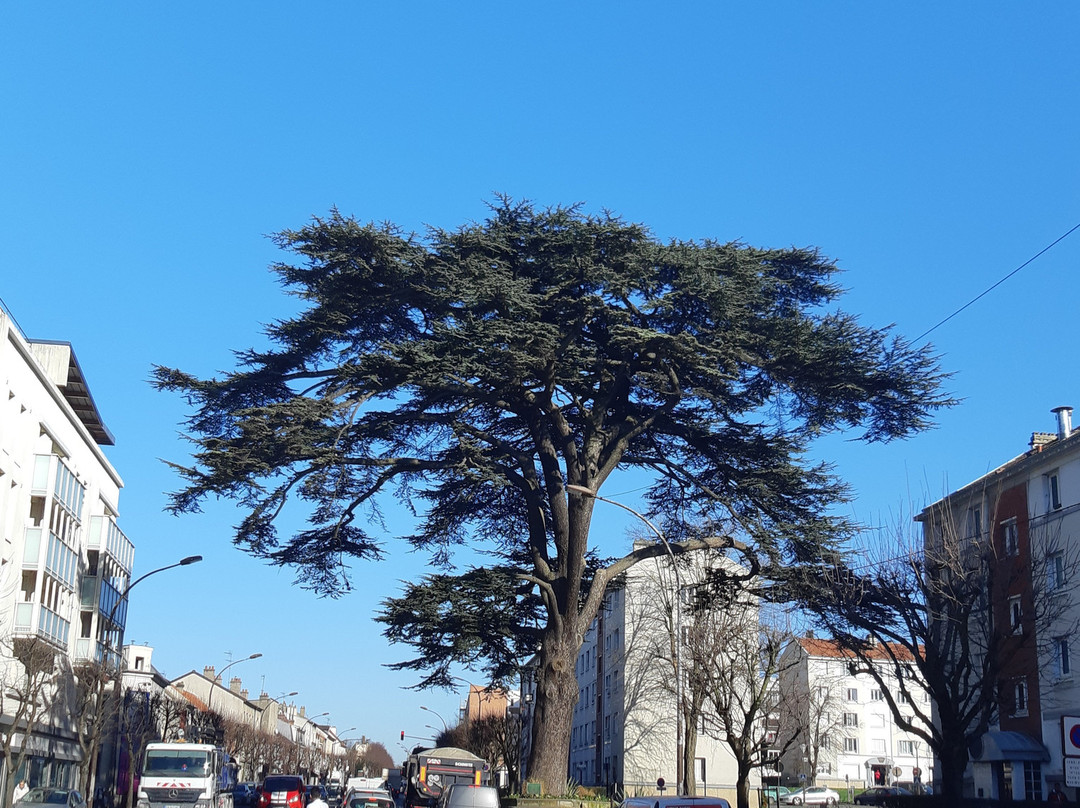 Le Cèdre du Liban-Livry-Gargan必去景点