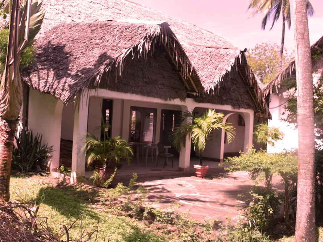 Mnarani-Kilifi必去景点