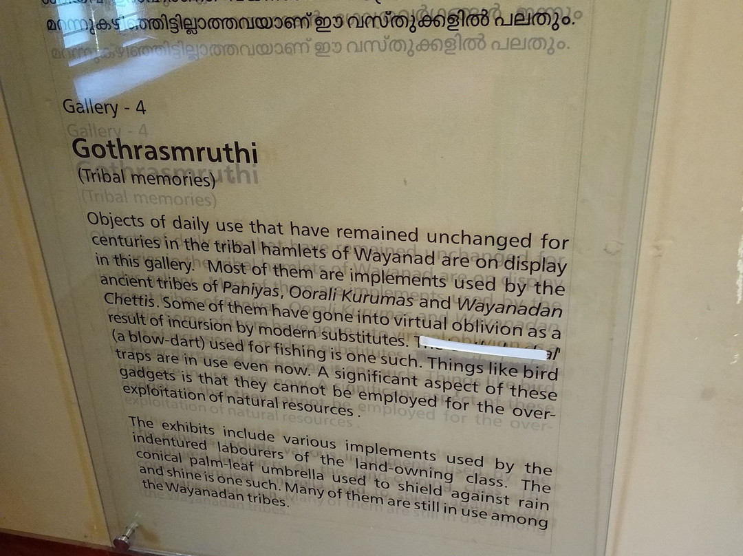 Wayanad Heritage Museum (Ambalavayal Heritage Museum)景点图片