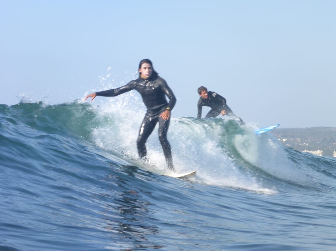 Vive Surf景点图片