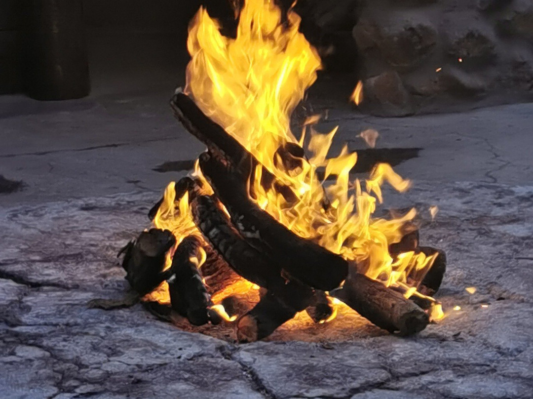 Imbasa Safari Lodge主图