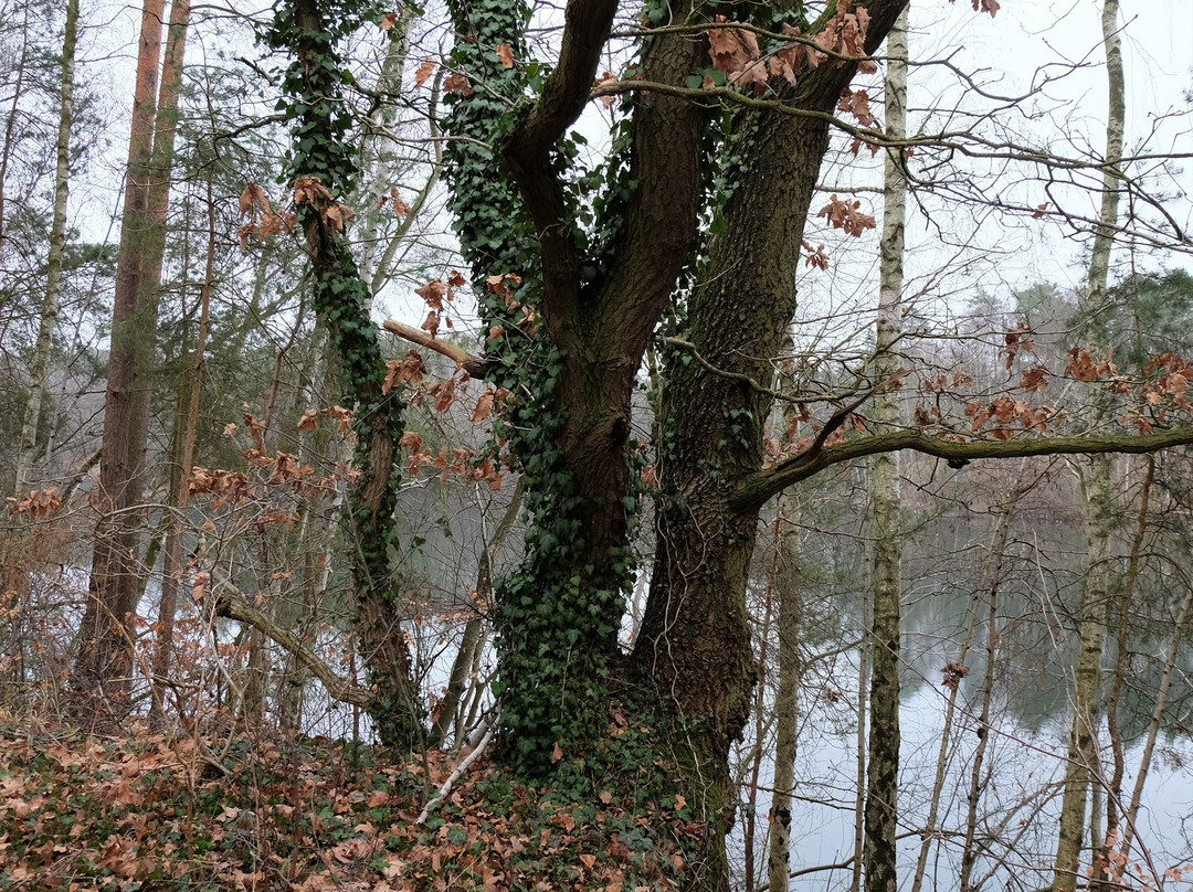 Velpker Schweiz-Velpke必去景点