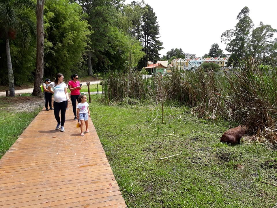 Parque do Lago景点图片