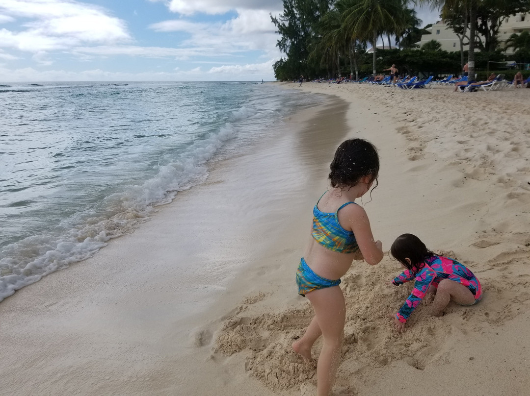 Courtyard by Marriott Bridgetown, Barbados主图