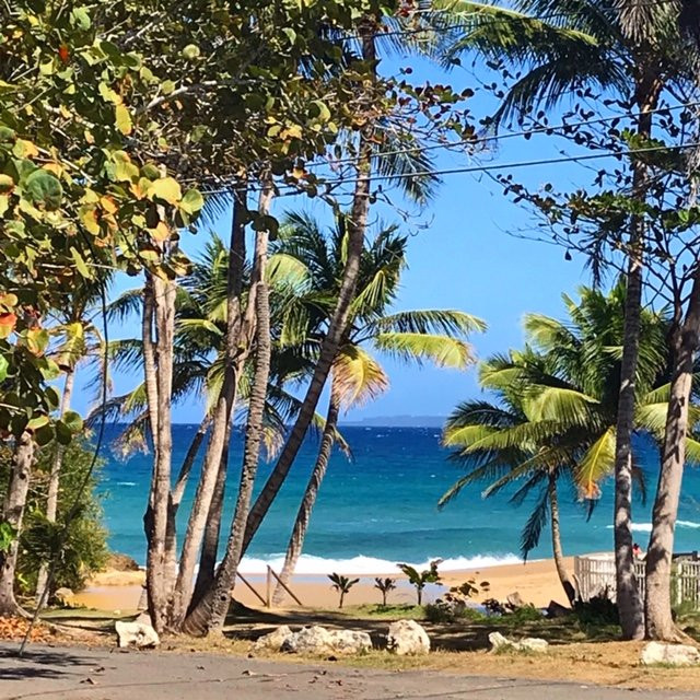 Casa Verde Hotel主图