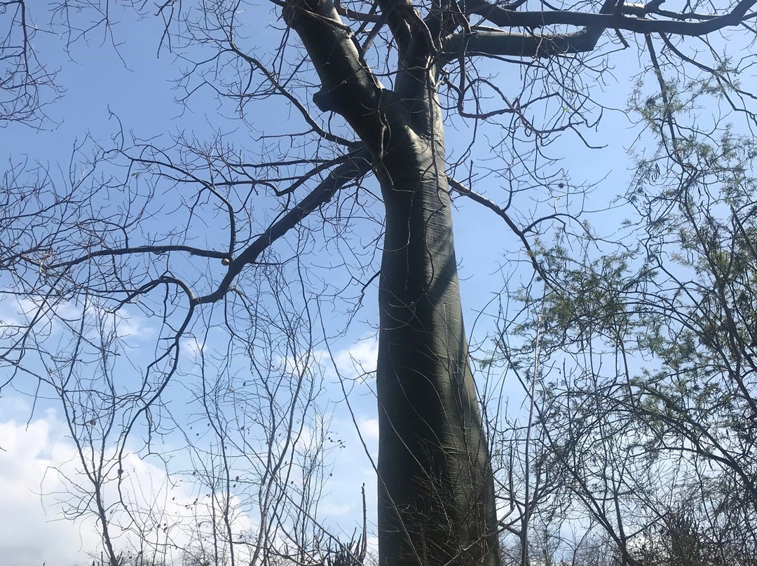 Agua Blanca-Machalilla National Park必去景点