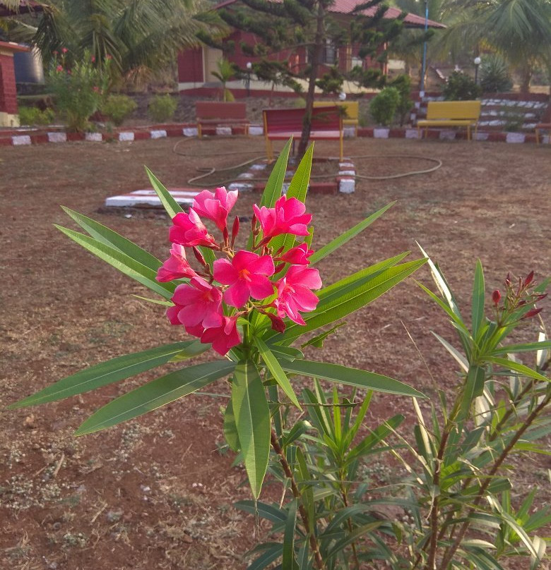 MTDC Velneshwar Resort主图