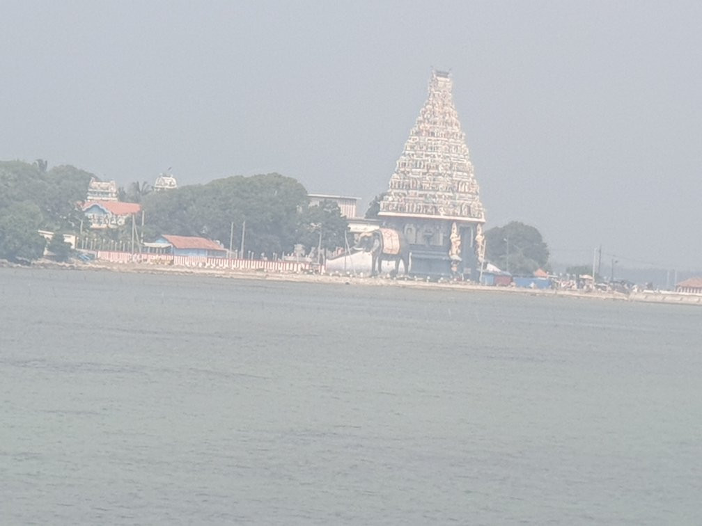 Naga Pooshani Ambal Kovil景点图片