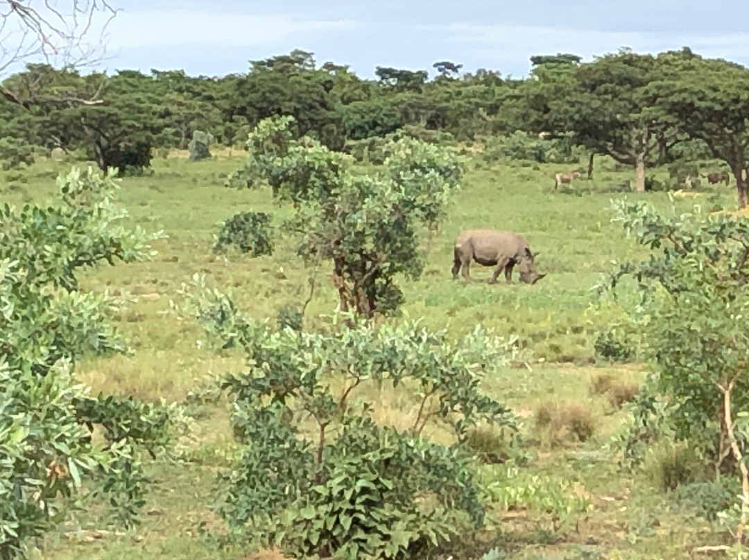 Welgevonden Nature Reserve-瓦尔沃特必去景点