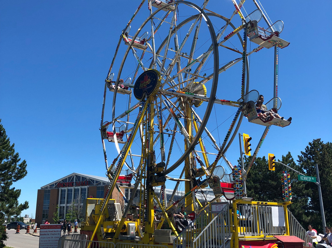 Taste of Asia Festival-万锦市必去景点