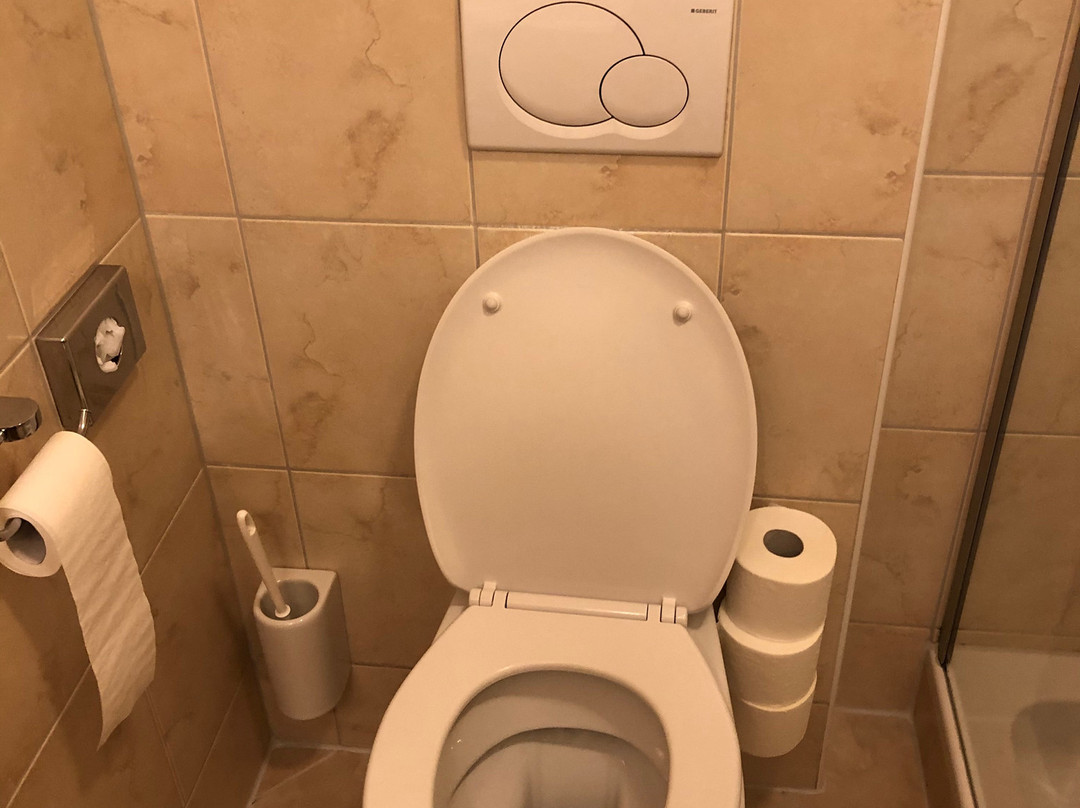 Ramsau im Zillertal酒店住宿-Alpenhotel Ramsauerhof