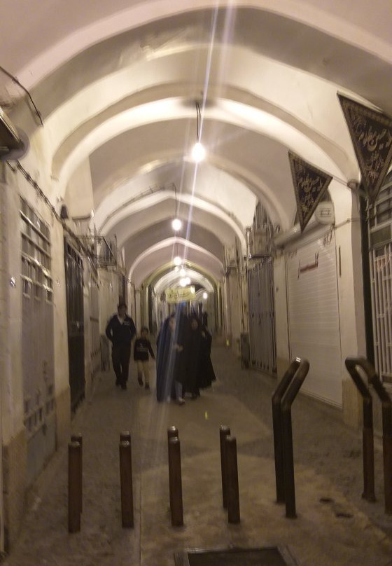 Bagh e Do Sarv主图