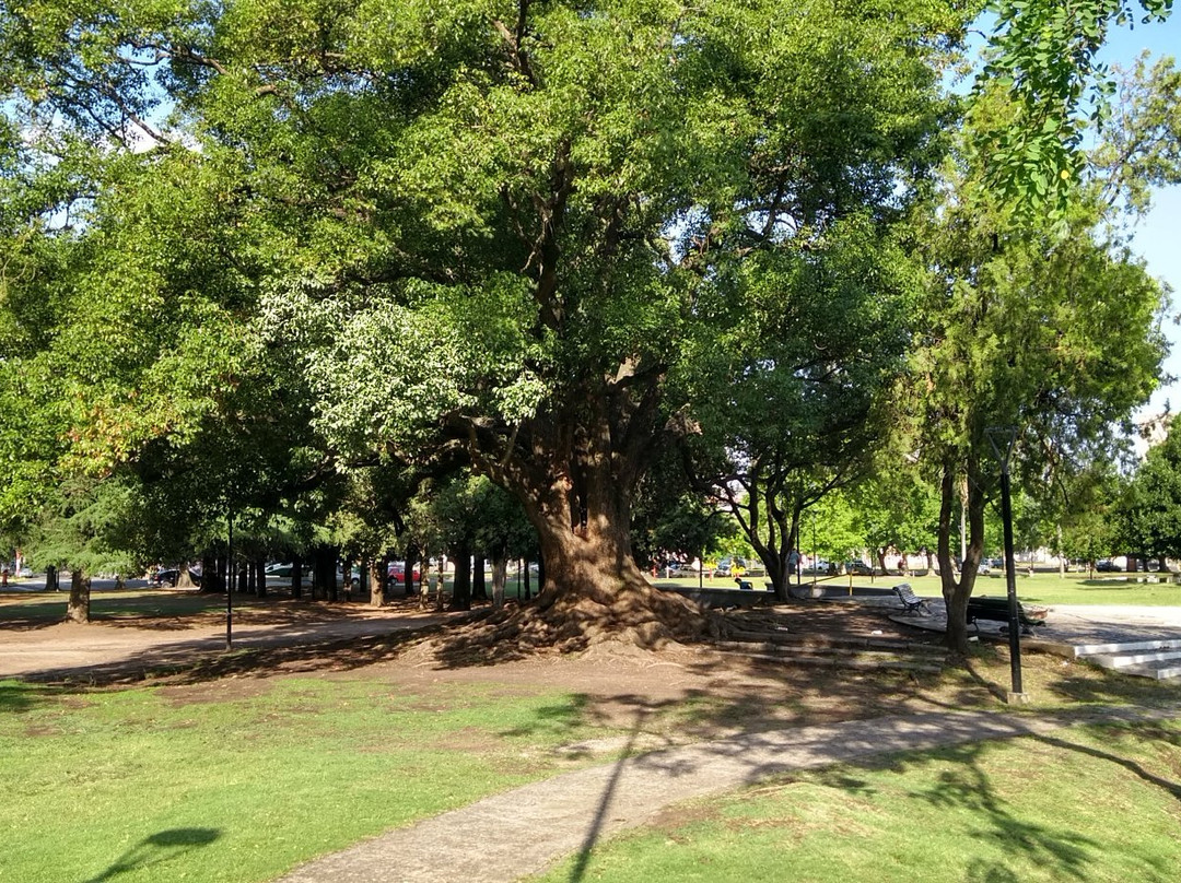 Parque Saavedra景点图片
