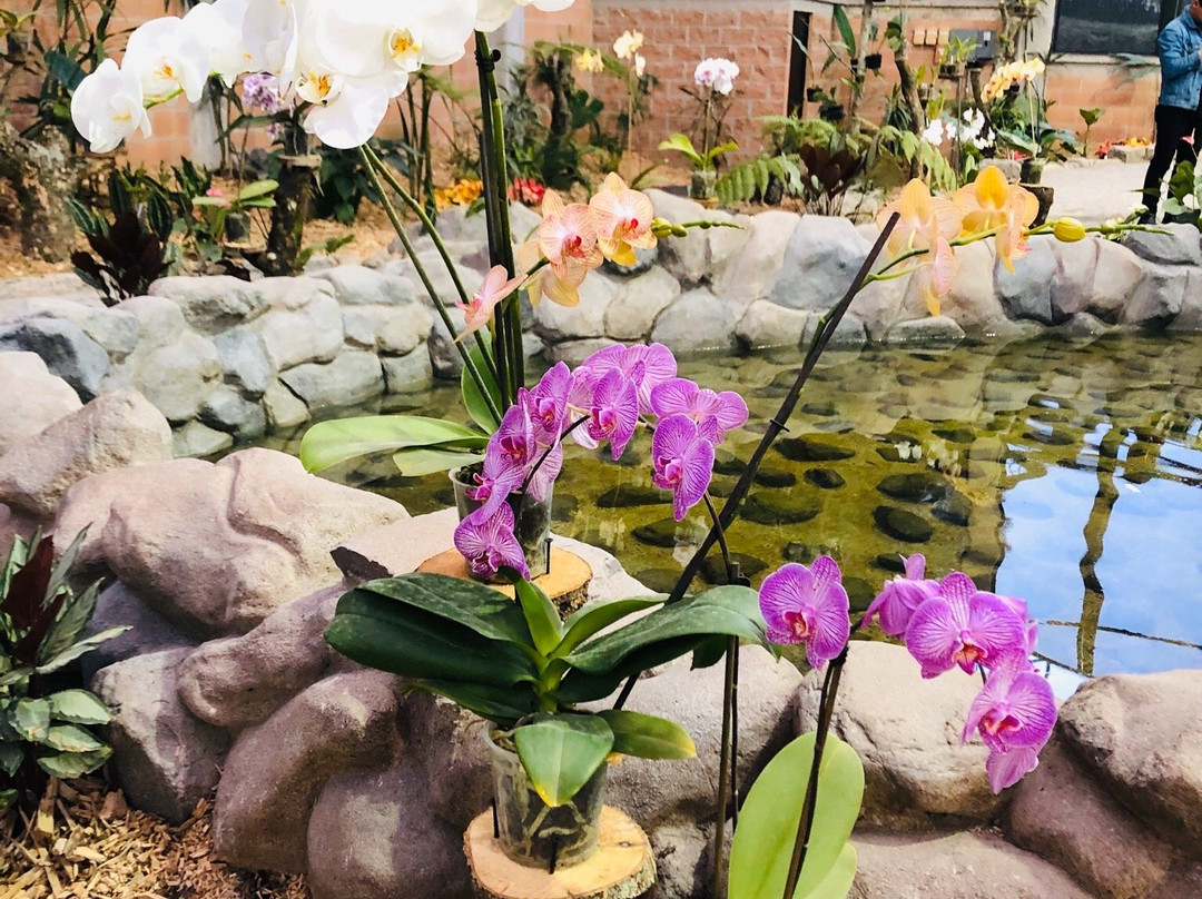 BiOri-欧瑞扎巴必去景点