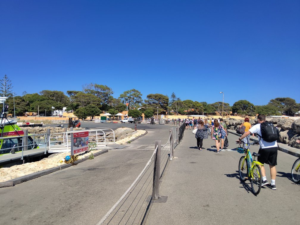 Rottnest Fast Ferries - Day Tours景点图片