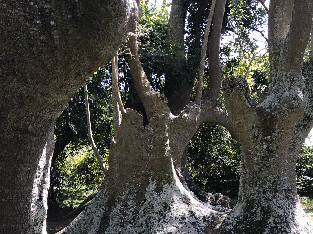 Monte de Ombúes-Valizas必去景点
