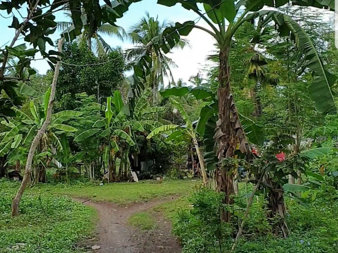 维娜尼特度假村主图